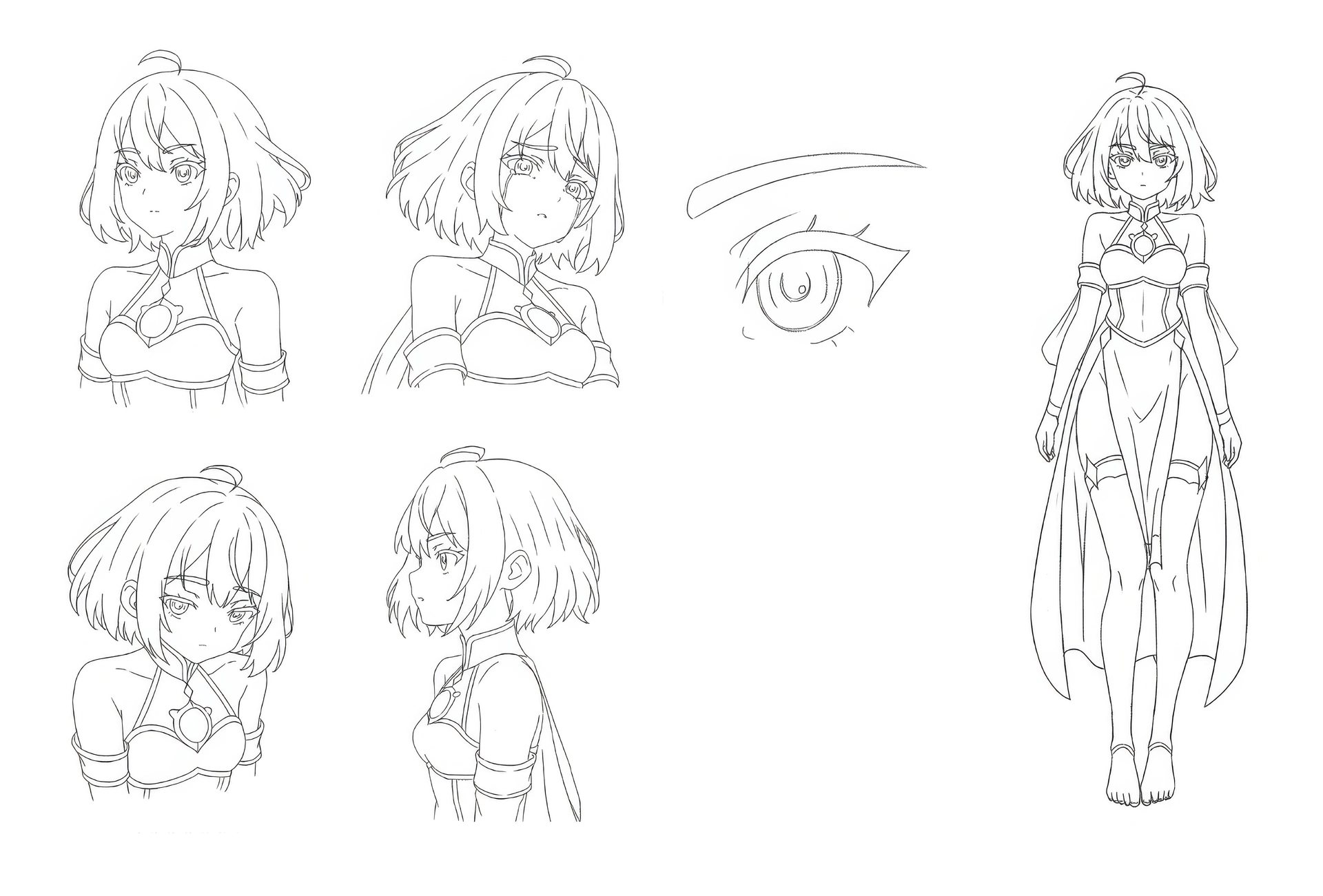 Input character model sheet